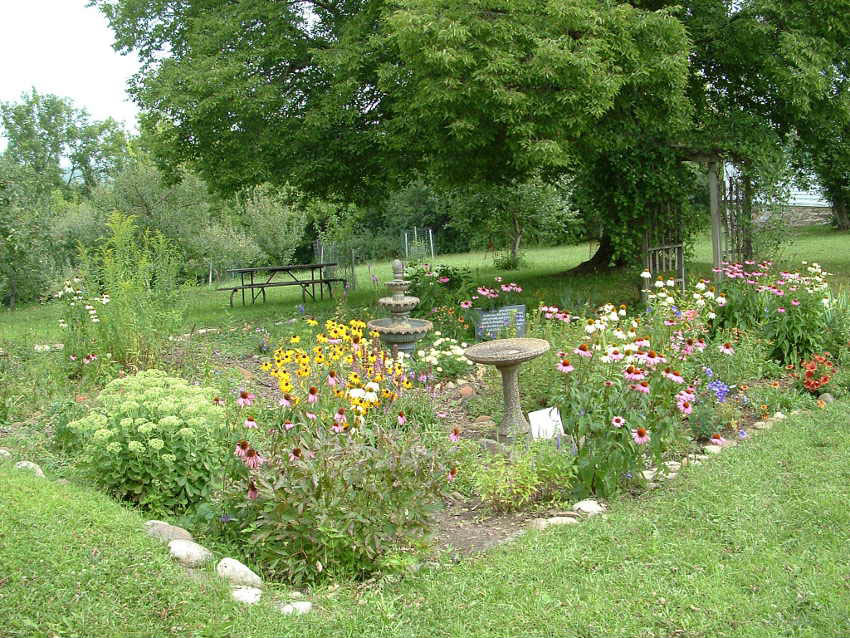 garden