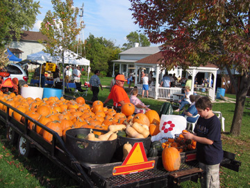 pumpkins